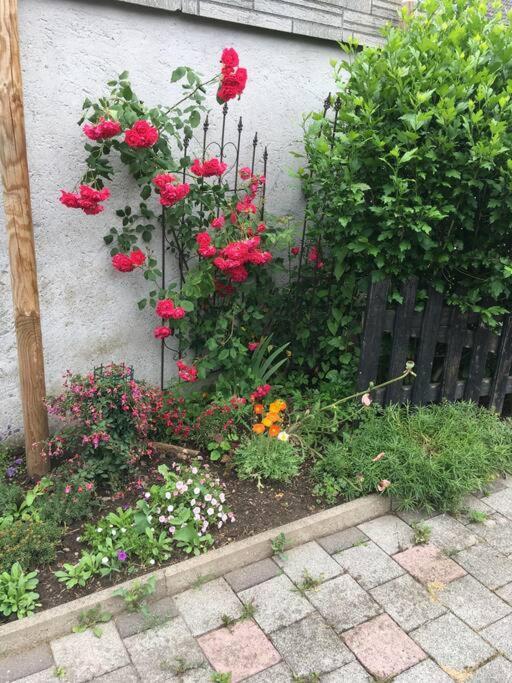 Apartment Gemuetliche Auf Dem Ziegenhof *
