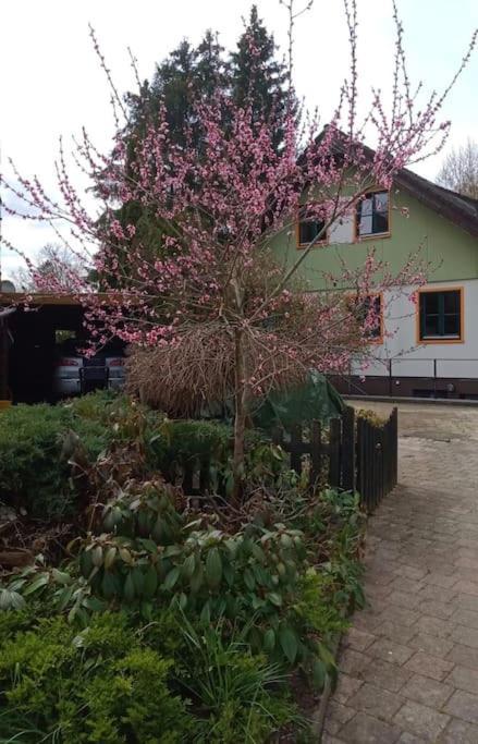 Gemuetliche Auf Dem Ziegenhof * Lemgo
